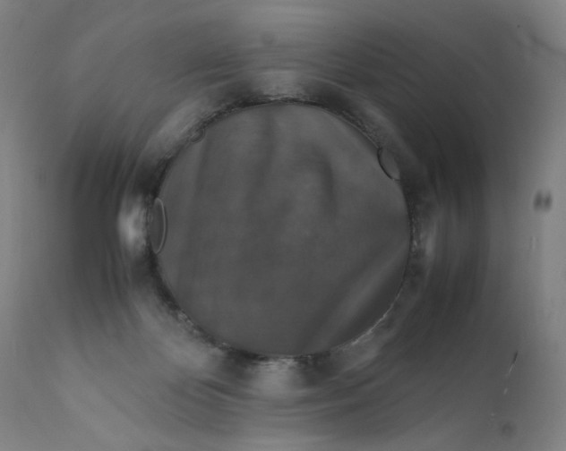 X0000112150124200908281349