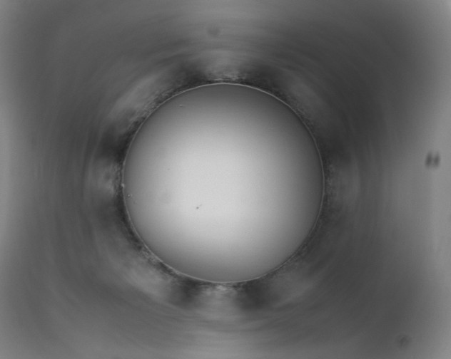 X0000112150125200908281349