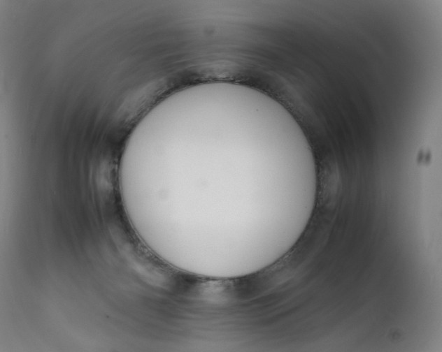 X0000112150126200908281349