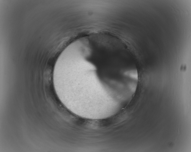 X0000112150127200908281349