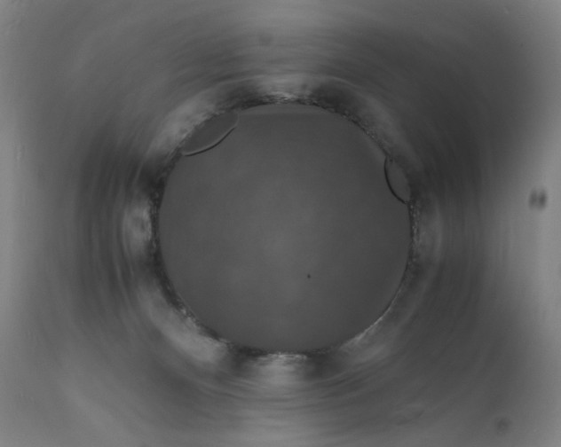 X0000112150128200908281349