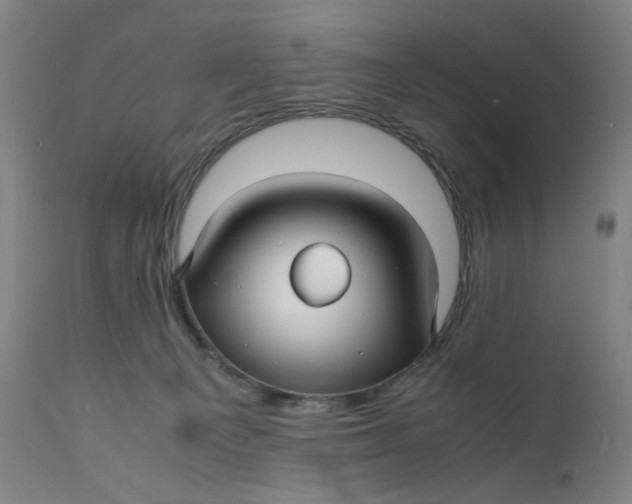 X0000112150129200908281349