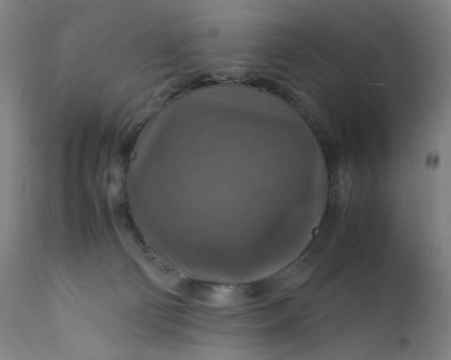 X0000112150130200908281349