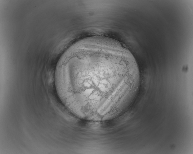 X0000112150131200908281349