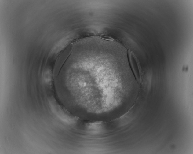 X0000112150132200908281349