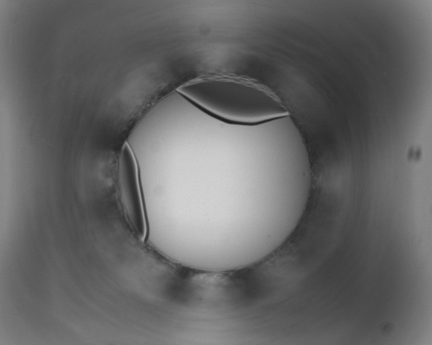 X0000112150133200908281349