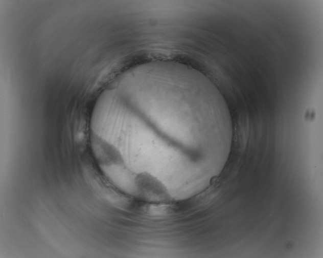 X0000112150134200908281349