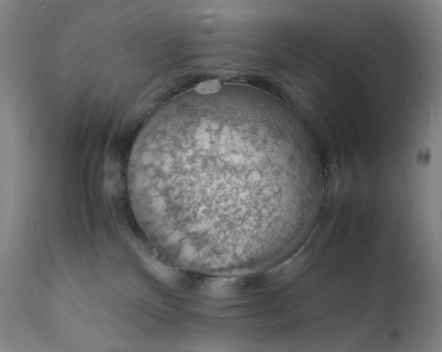 X0000112150136200908281348