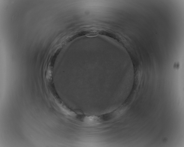 X0000112150137200908281348