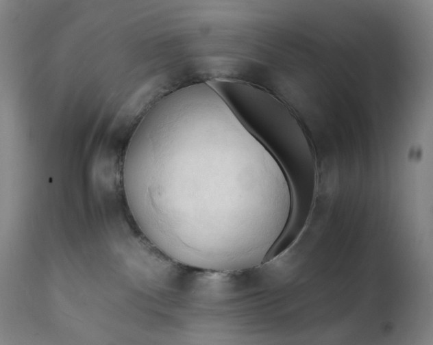 X0000112150140200908281348