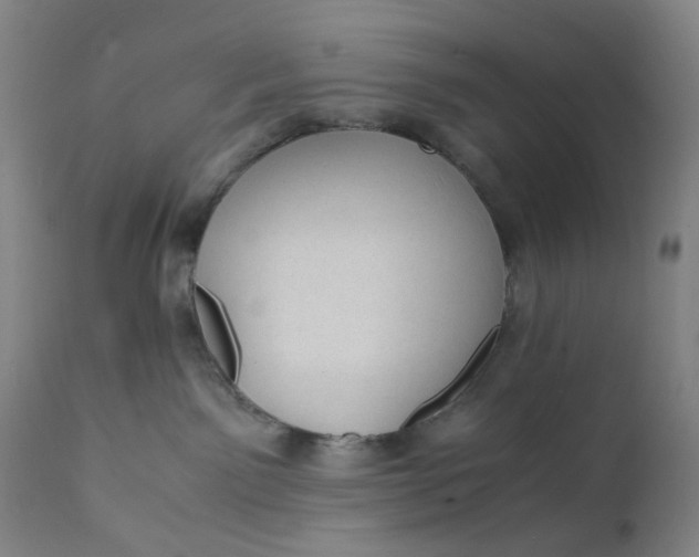 X0000112150141200908281348