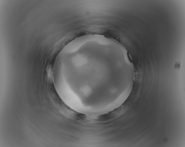 X0000112150143200908281348