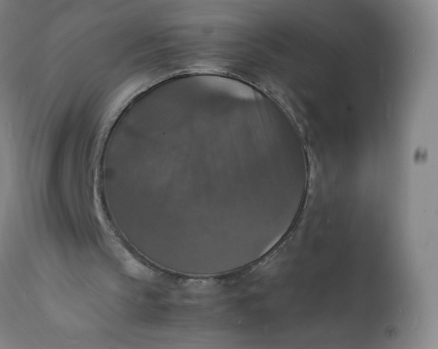 X0000112150145200908281348