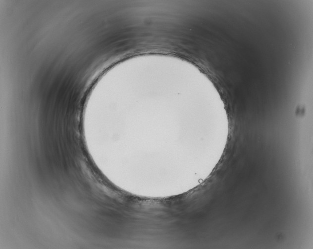 X0000112150146200908281348