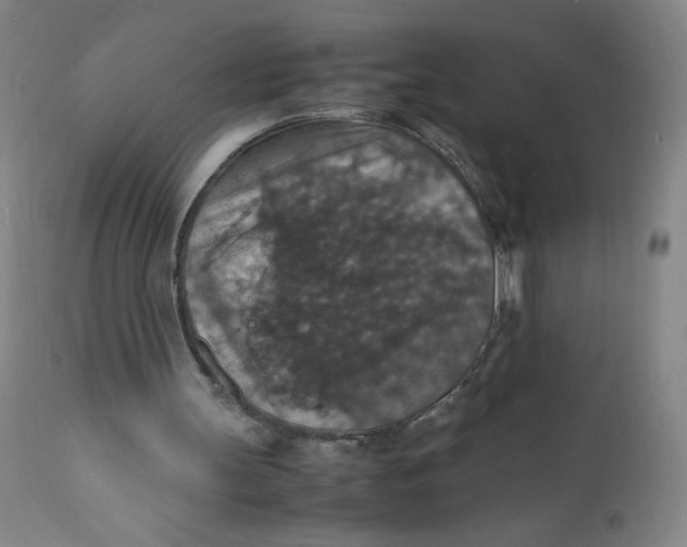 X0000112150147200908281348