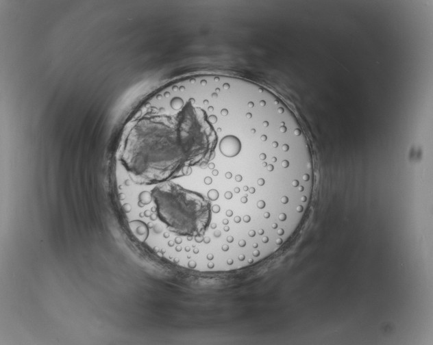 X0000112150149200908281348