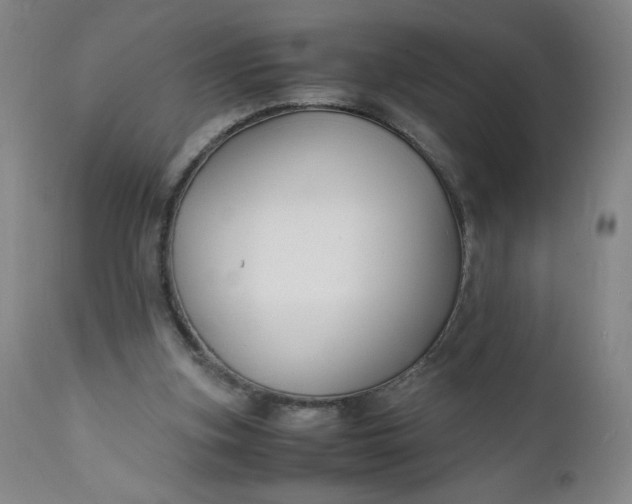 X0000112150155200908281348