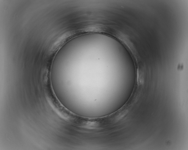 X0000112150157200908281348