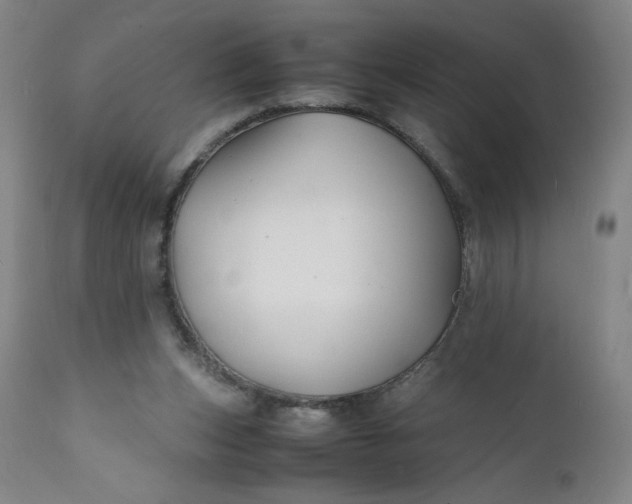 X0000112150159200908281348