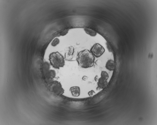 X0000112150161200908281348