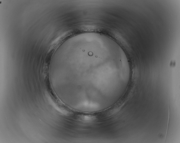 X0000112150165200908281348