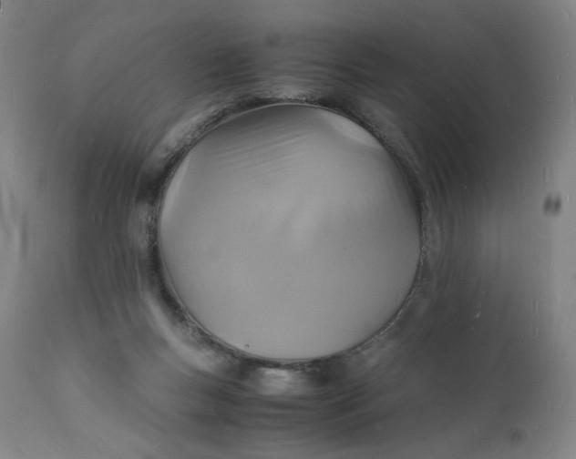 X0000112150167200908281348