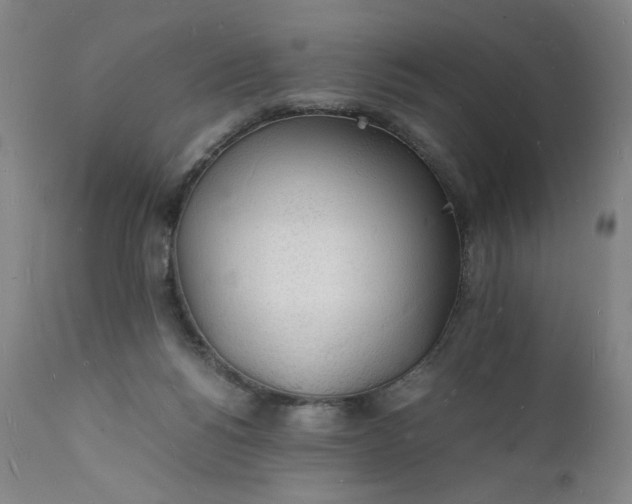 X0000112150168200908281348