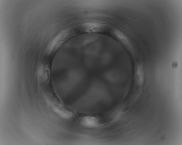 X0000112150169200908281348