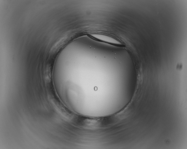 X0000112150170200908281348