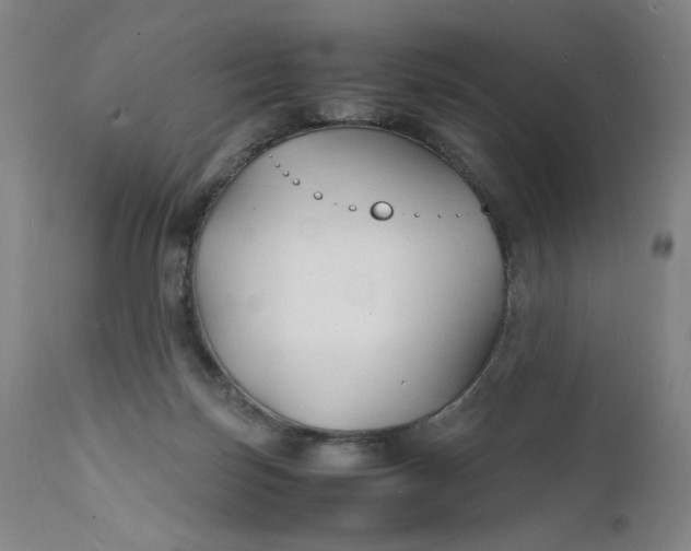 X0000112150171200908281348