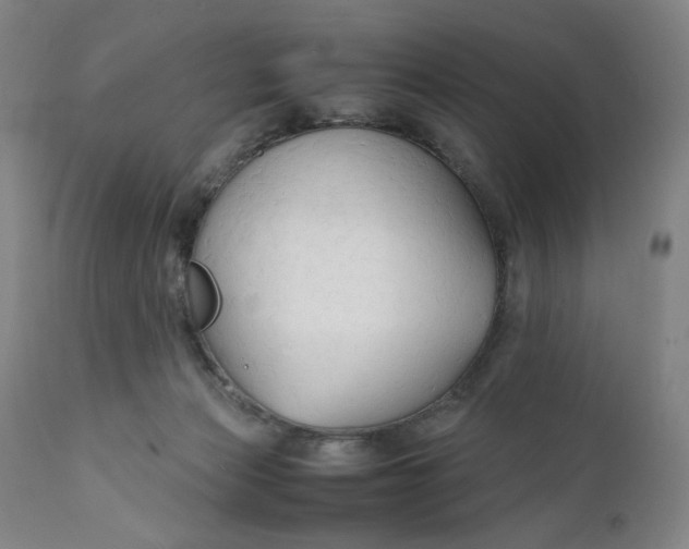 X0000112150173200908281348