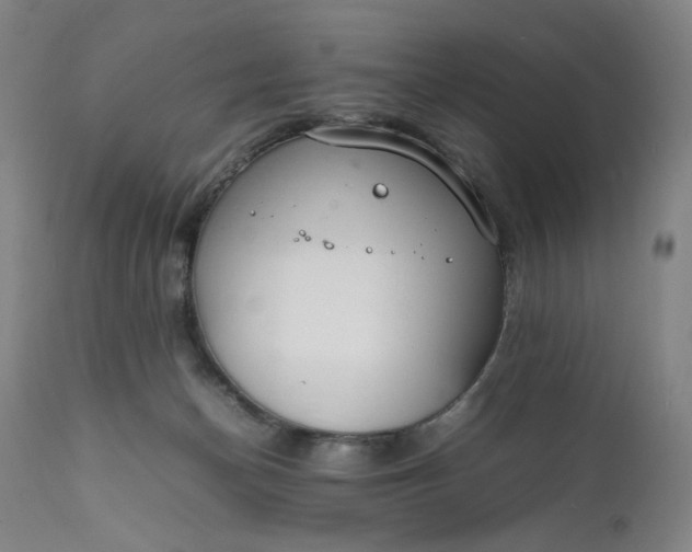 X0000112150174200908281348