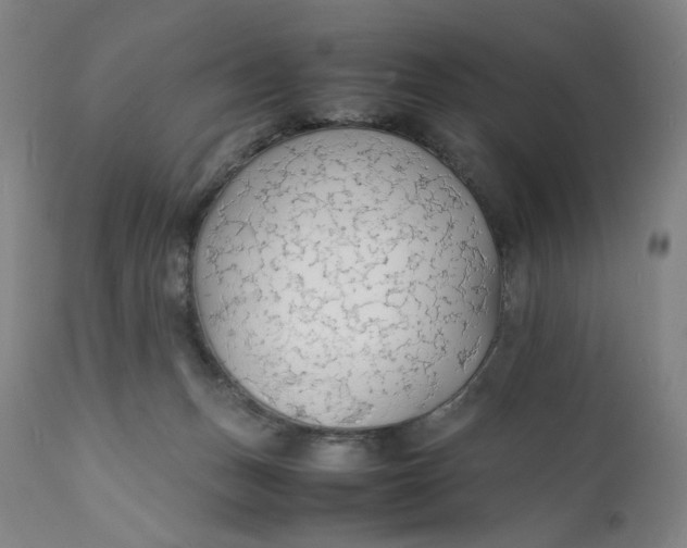 X0000112150175200908281348