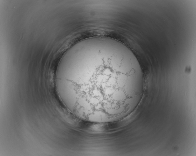 X0000112150178200908281348