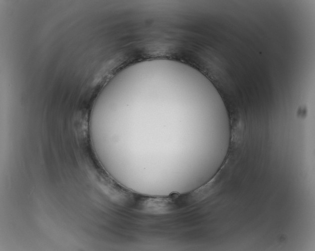 X0000112150179200908281348