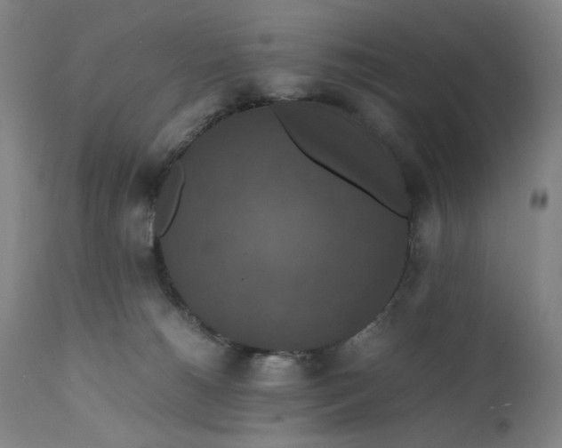 X0000112150180200908281348