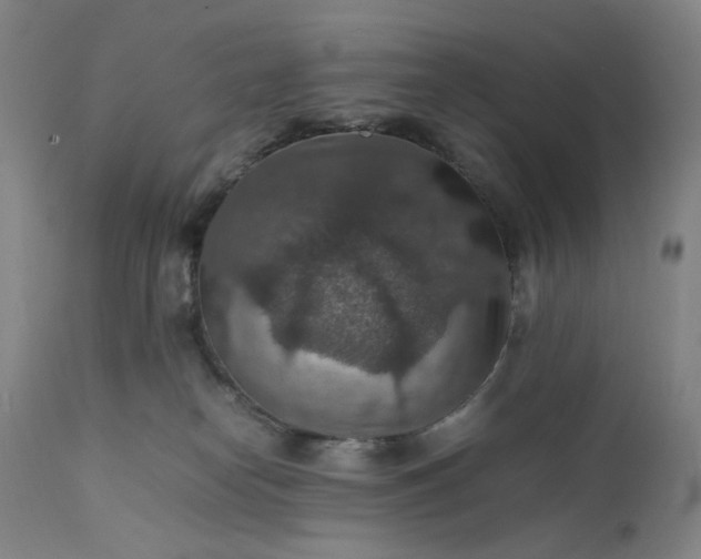 X0000112150182200908281348