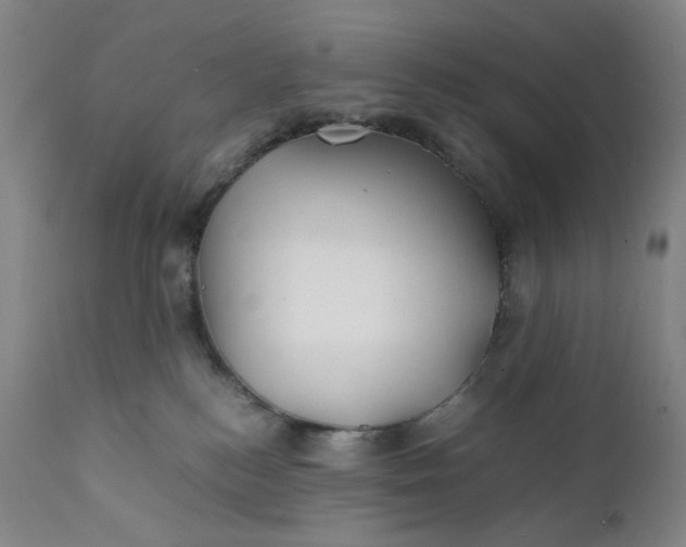 X0000112150184200908281348