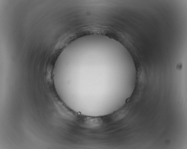 X0000112150185200908281348