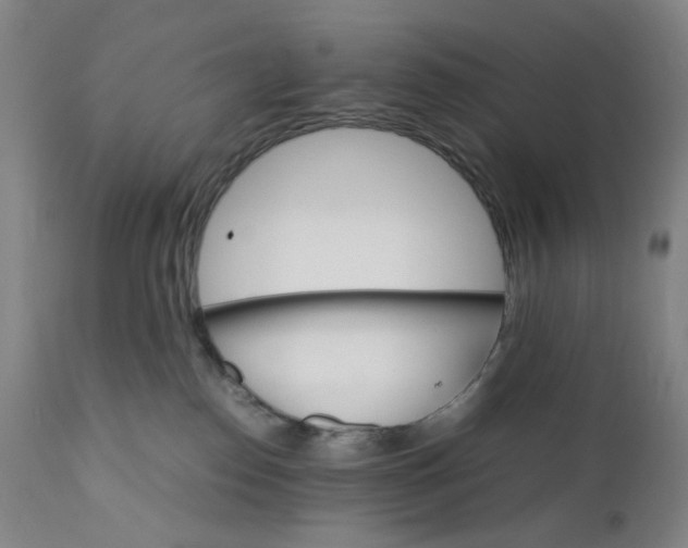 X0000112150186200908281348