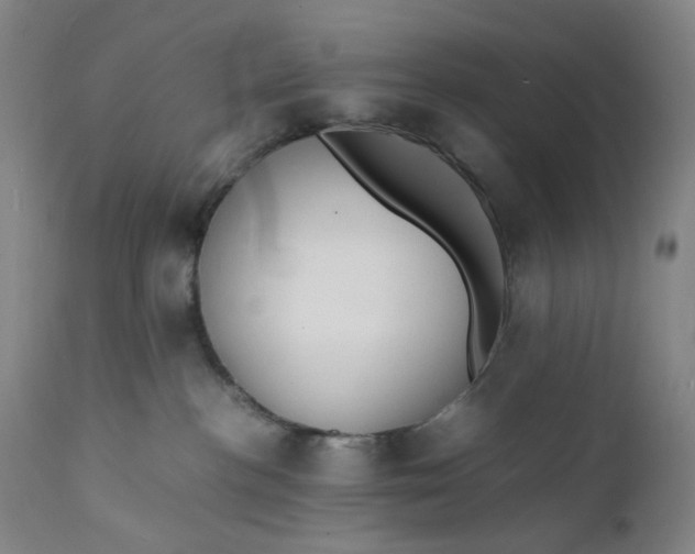 X0000112150188200908281348