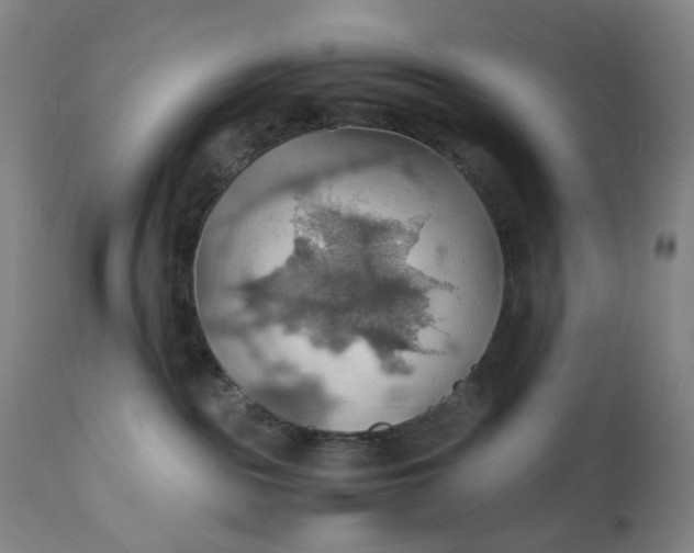 X0000112150189200908281348