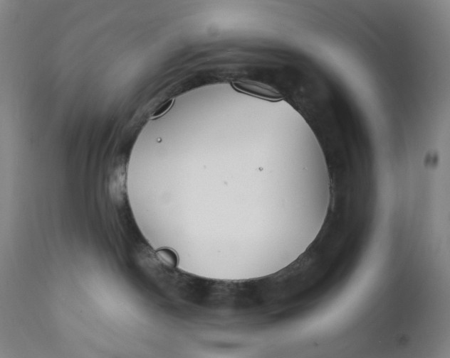 X0000112150190200908281348