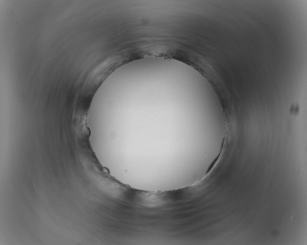 X0000112150191200908281348