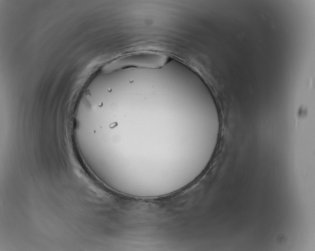 X0000112150193200908281348