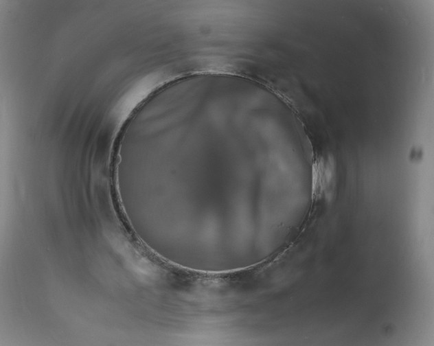 X0000112150195200908281348