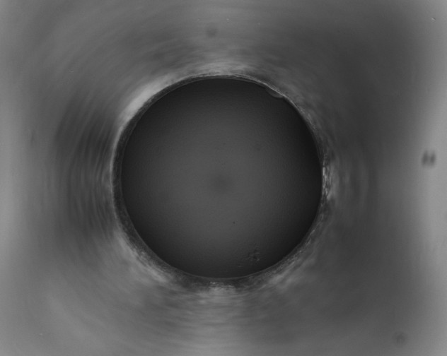 X0000112150196200908281348