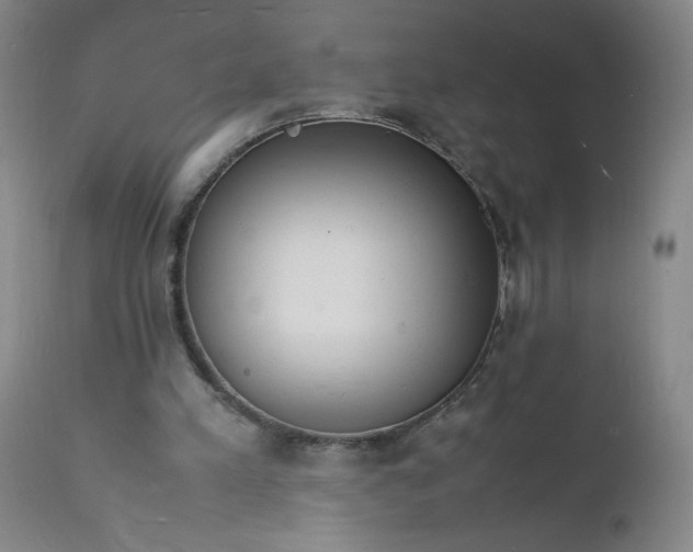 X0000112150197200908281348