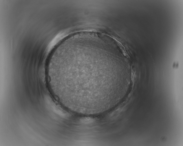 X0000112150198200908281348