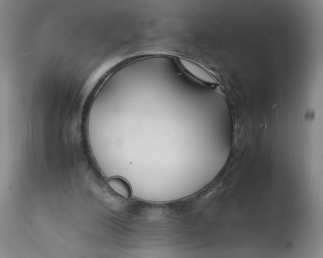 X0000112150200200908281348